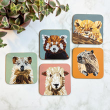 Load image into Gallery viewer, Animal Coasters