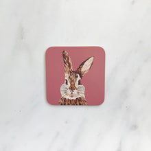 Load image into Gallery viewer, Animal Coasters