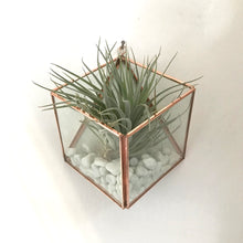 Load image into Gallery viewer, Square Wall Mounted Planter