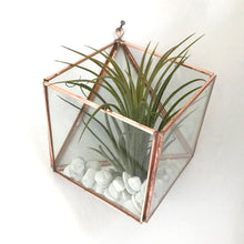 Load image into Gallery viewer, Square Wall Mounted Planter