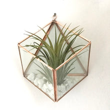 Load image into Gallery viewer, Square Wall Mounted Planter