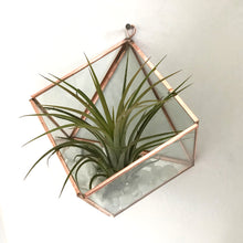 Load image into Gallery viewer, Square Wall Mounted Planter