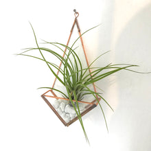 Load image into Gallery viewer, Glass Backed Mini Wall Mounted Planter