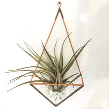 Load image into Gallery viewer, Glass Backed Wall Mounted Planter