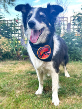 Load image into Gallery viewer, Dog Bandana

