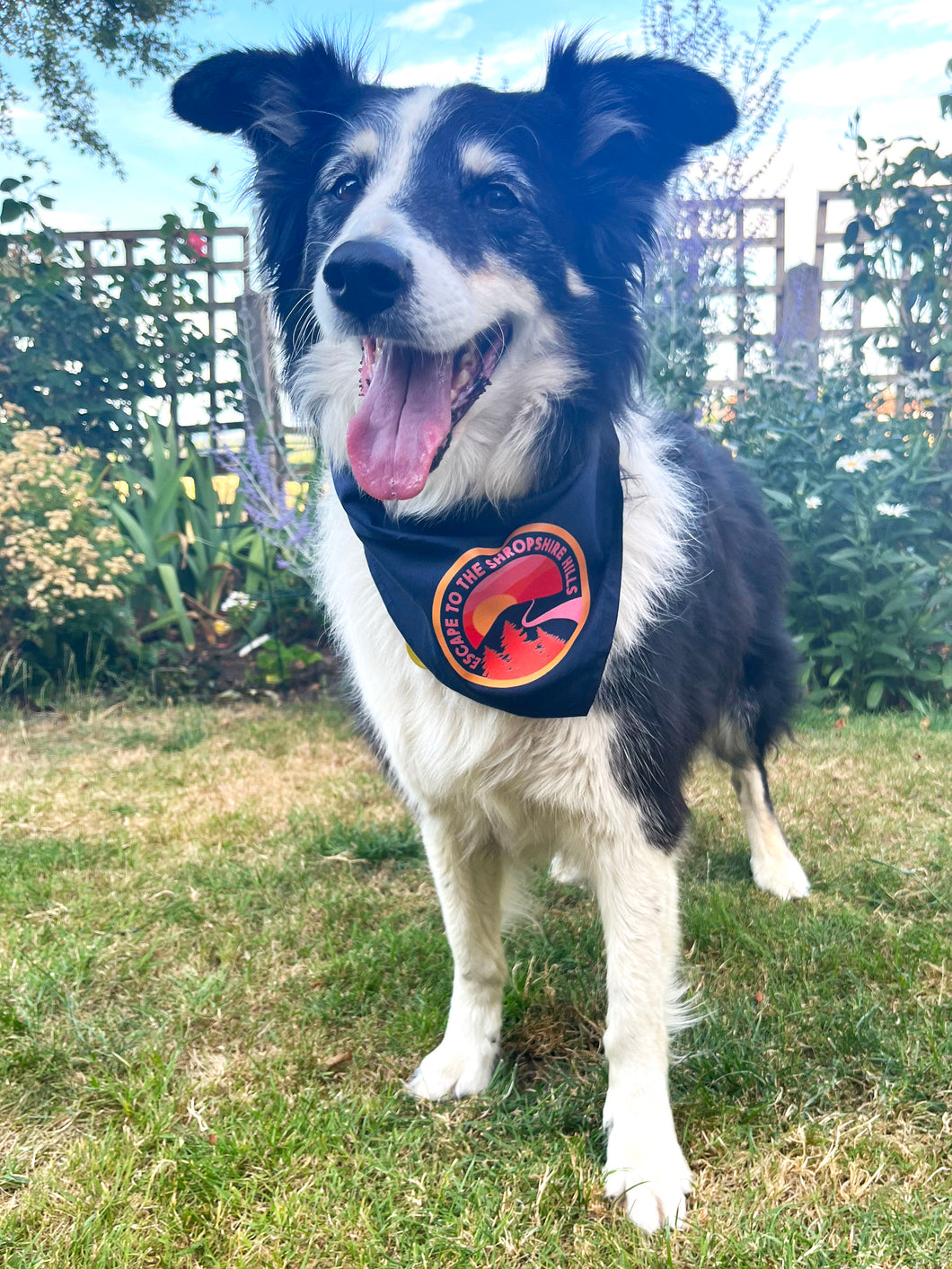 Dog Bandana