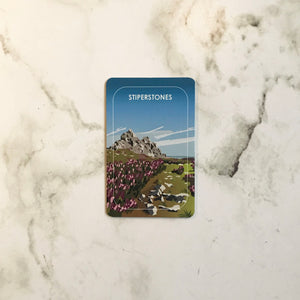 Metal Fridge Magnets