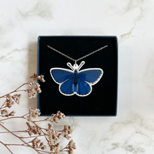 Load image into Gallery viewer, Adonis Blue Butterfly Necklace
