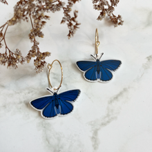 Load image into Gallery viewer, Adonis Blue Butterfly Earrings
