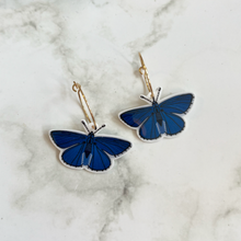Load image into Gallery viewer, Adonis Blue Butterfly Earrings

