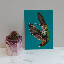 Load image into Gallery viewer, Hummingbird Print
