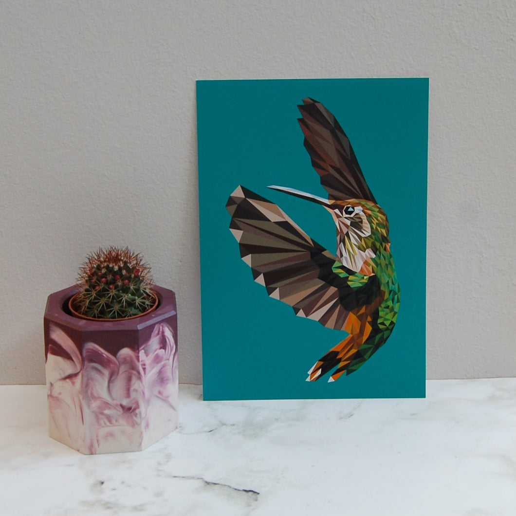 Hummingbird Print