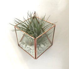 Load image into Gallery viewer, Square Wall Mounted Planter
