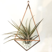 Load image into Gallery viewer, Glass Backed Wall Mounted Planter
