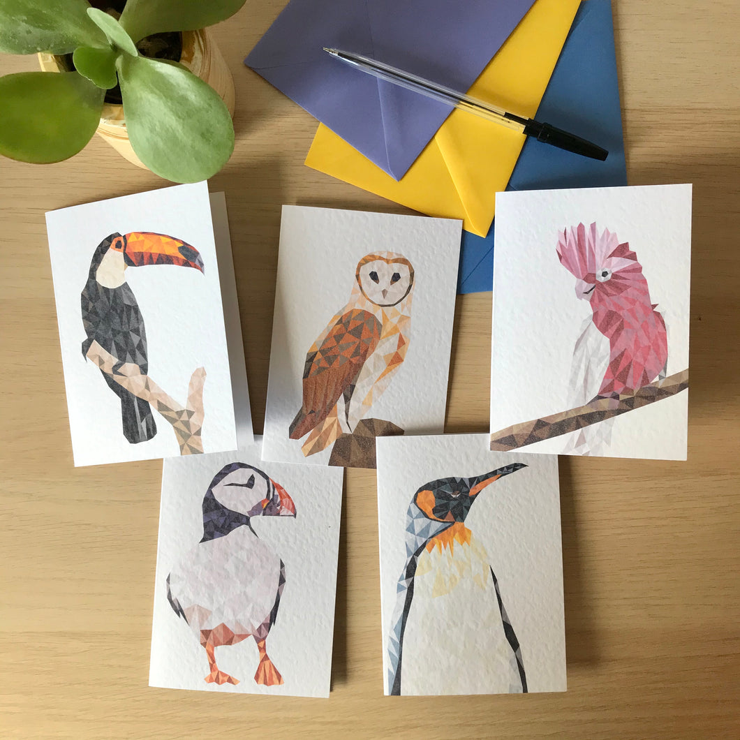 Birds Card Pack