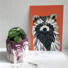 Load image into Gallery viewer, Raccoon Print
