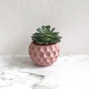 Mini Pot in Soft Pink