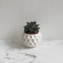Load image into Gallery viewer, Mini Pot in White
