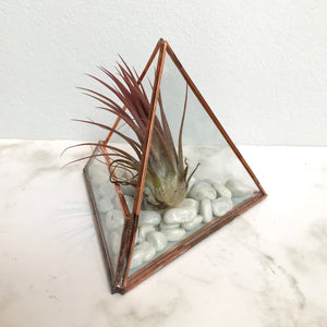 Mini Pyramid Glass Planter